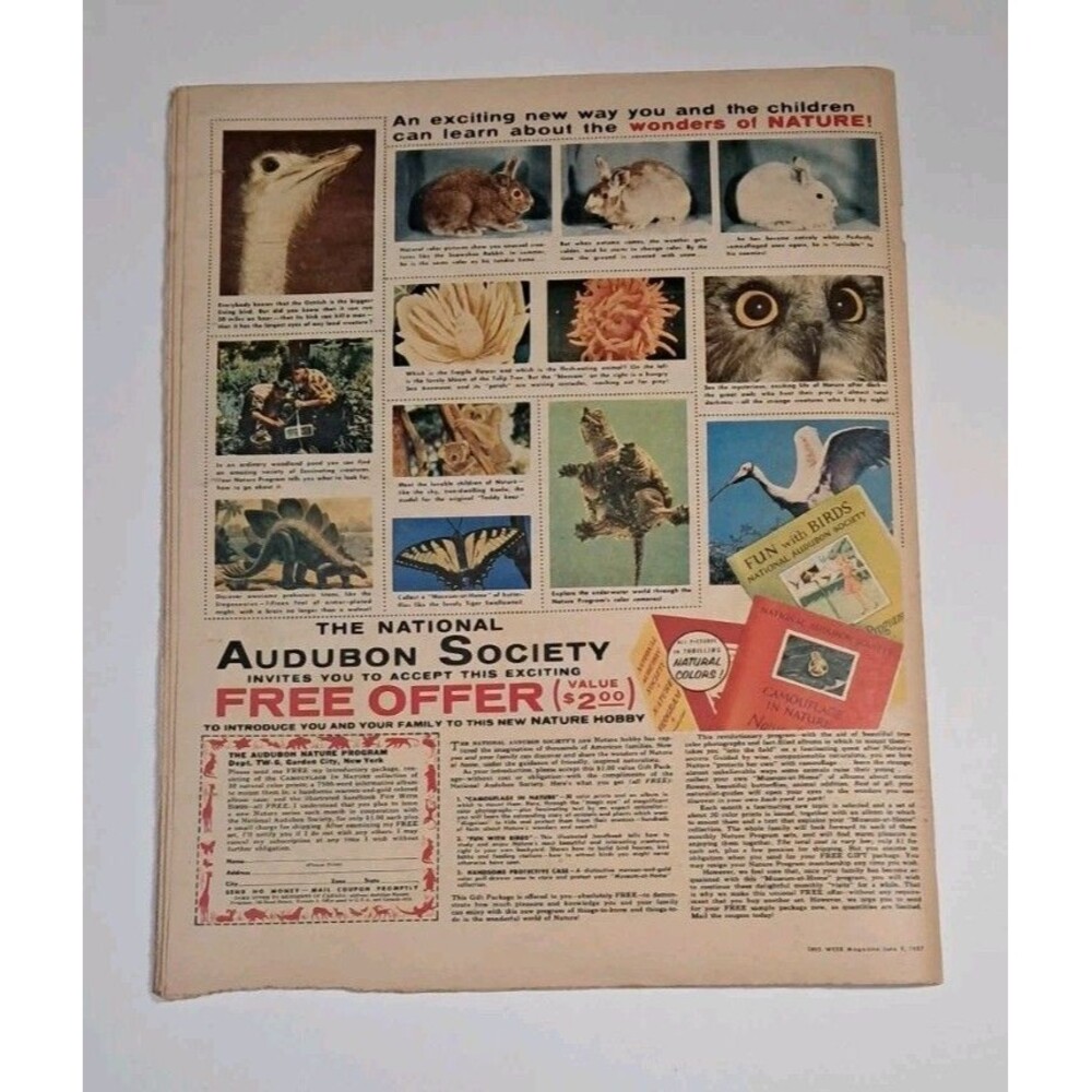 This Week Magazine Minneapolis Sunday Tribune 6/9/57 Kay Kendall - Picture 8 of 8